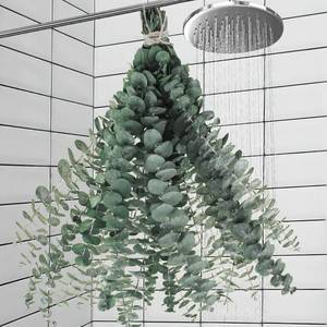 lot 14507 image: 11 PCS Real Dried Eucalyptus Stem for Shower & Bathroom Decor - 17 Large Natural Fresh Eucalyptus Leaves Hanging Plants, Shower Stuff Green Home Vase Decor, DIY