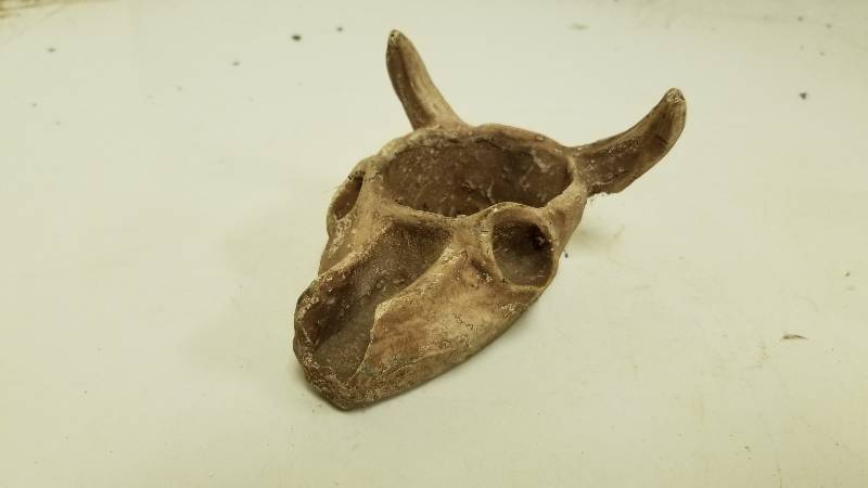 lot 1323 image: Creepy Skull Art
