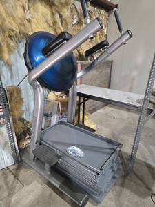 lot 7130 image: Life Fitness Exercise Ball