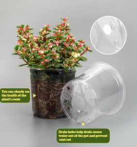 lot 50843 image: RAOOKIF 5 Inch Clear Nursery Pots with Drainage, 24 Pack Clear Nursery Pots for Plants, Flexible Plastic Garden Flower Pot