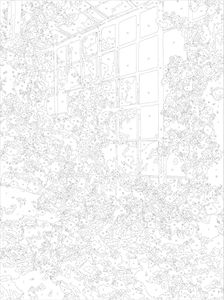 lot 2246 image: ZRIZQ Paint by Number for Adults Beginners,12 Wx16 L Canvas for Painting Kits for Adults in Colorful Box,Paint by Numbers for Home Wall Art Decor-Wolf