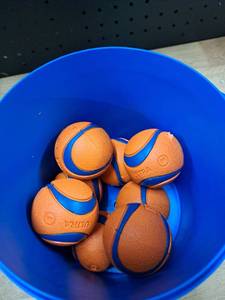 lot 1329 image: Chuck It Toy with Balls