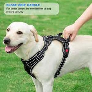 lot 15269 image: Tobe RL Dog Harness (medium dog)