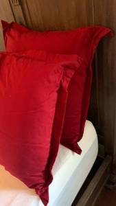 lot 1413 image: 22 inch pillow inserts with covers 25 inch