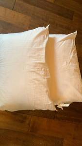 lot 1434 image: Standard bed pillows