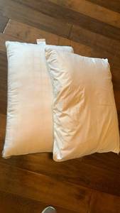 lot 1435 image: Standard bed pillows