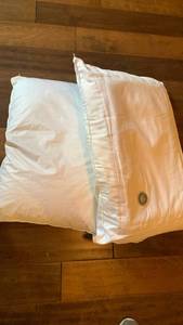 lot 1436 image: Bean filled bed pillow and water bed pillow