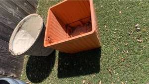 lot 4205 image: Two planters 14 x 17 and 14 x 18