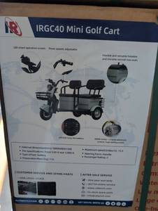 lot 9202 image: IRGC40 High-End Mini Golf Cart - Electric Vehicle Green