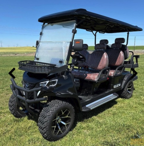 lot 9248 image: SDLGC100 6-Person Golf Cart