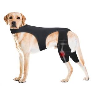 lot 2264 image: Pawfun Dog Knee Brace for Hind Legs �� Adjustable Dual Dog Leg Brace for Back Leg Helps with Torn ACLCCL, Luxating Patella, Ligament Injuries, Osteoarthritis,S