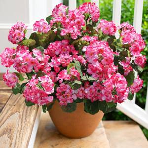lot 9515 image: Artificial Geranium Fake Flowers for Outdoors Decoration, 6 Bundles Silk Geraniums Pink Flower UV Resistant Look Real Faux Plants for Front Door Garden Porch Planter Patio Balcony Yard Indoor Home