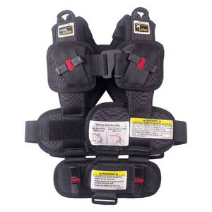 lot 10347 image: RideSafer - Extra Small Black, Lightweight, Compact, Portable Car Seat - Perfect for Travel and Everyday Child Safety