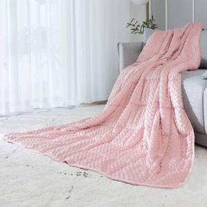 lot 1540 image: ALANSMA Reversible Weighted Blanket for All Season, Luxury Velvet, Warm and Cool, Adult Kids 5Lb Weighted Blanket, Enjoy Sleeping Anywhere(Pink,36x48 5lbs)