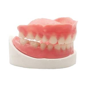 lot 2073 image: Denture Do it Yourself Full Set of Top and Bottom Fake Teeth for Improve Smile (Gypsum Model�� Gum Material and Fake Teeth)
