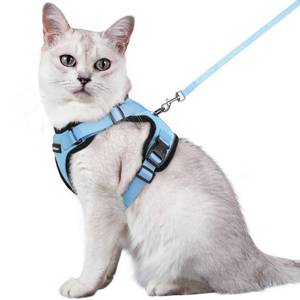 lot 2158 image: rabbitgoo Cat Harness and Leash for Walking, Escape Proof Soft Adjustable Vest Harnesses for Cats, Easy Control Breathable Reflective Strips Jacket, Light Blue,M