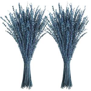 lot 13056 image: Uieke Dried Lavender Flowers, 16 Preserved Dried Lavender Bundles Blue Flowers Stems Bouquet for Shower Weeding Home Fragrance Vase Crafts Decor, 100g(3.52oz)