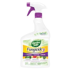 lot 6108 image: Garden Safe Brand Fungicide3, 32 Fluid Ounces, Insecticide and Miticide with Neem Oil Extract for Organic Gardening, Controls Black Spot, Aphids and Spider Mites