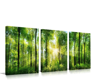 lot 10839 image: Green Forest Canvas Wall Art Large Nature Wall Art Tree Pictures Sunrise Landsapce Art Framed Scenery Wall Mural Painting Wall Decor for Bedroom Living Room Office(3 Panel,16 x 24 Inch) - Retail $53