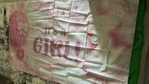 lot 538 image: Baby Girl Banner with Swan and Hot Air Balloon Design with Metal Eyelets in all 4 Corner. - Retail $24
