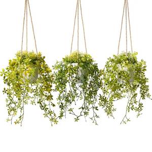 lot 1960 image: PENGYEE 3 Packs Fake Hanging Plants with Pots, 13 Fake Vines for Wall Decor, Mandala Vine, Artificial Plants IndoorOutdoor for Home Bathroom Bedroom Kitchen Office Room Decor