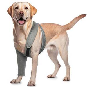 lot 2030 image: ROZKITCH Dog Surgery Leg Sleeve Front Right Left Leg, Pet Prevent Licking Wound Elbow Knee Protector, Dog Recovery Suit Cone Collar Alternative for Sprain ACL CCL Arthritis Joint Care Grey 2XL