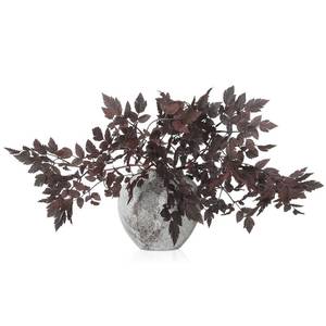 lot 2340 image: Lyrow 3 Pack Artificial Cimicifuga Plant Leaf Spray Faux Plum Cimicifuga Ramosa Leaf Branch Faux Fall Spray Silk Plants for Home Vase Wedding Garden Farmhouse Table Mantel Decor (18 Inches)