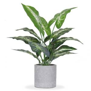 lot 9204 image: JC nateva 16 Small Fake Plants Artificial Tropical Faux Plants Indoor for Office Desk Shelf Bathroom Home Decor