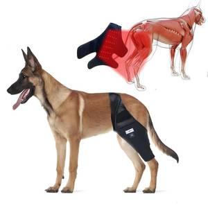 lot 10413 image: WENQUSEN Dog Acl Brace Hind Leg �� Red Light Therapy for Dogs Professional Edition Dog Knee Brace for Torn Acl Hind Leg Accelerated Wound Healing Suitable for Mini Dogs ��37-72Lb����Black��(L)