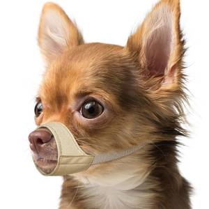 lot 6045 image: Mayerzon Short Snout Dog Muzzle, Small Muzzle for Chihuahua Shih Tzu American Bully Boxer Puppy, Soft Fabric Mouth Cover for Grooming Vet Visits, Prevent Biting Chewing Fighting