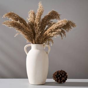 lot 19244 image: PORCER Ceramic Vase, 9.84 Inch Terracotta Vase with Handles, Boho Decor Decorative Vase, Rustic Vase for Home Decor, Farmhouse, Living Room, Table - Beige