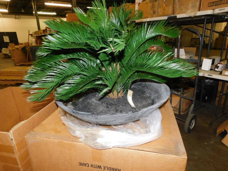 lot 1819 image: New Growth Designs Potted Plant