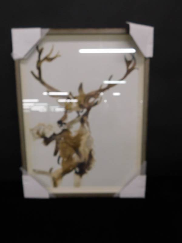 lot 1826 image: Nice Artwork Mountain Comfort Series Sizes Pictured