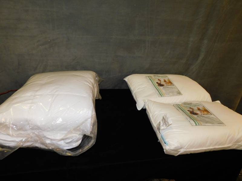 lot 1952 image: New Generations Comforter Pillows and Pillow Covers Set