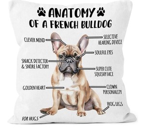 lot 1198103 image: x2 Funny French Bulldog Dog Anatomy Throw Pillow Covers 18x18, Dog Home Decor Decorative Pillow Cases for Bedroom Living Room Couch Sofa Bed, French Bulldog Pillowcases Gifts for Dog Lovers Owner - Retail $20