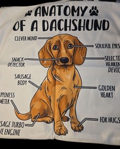 lot 1198191 image: Anatomy of a Dachshund Dog Pillowcase Cover Fabric 17x17.5in - Retail $15