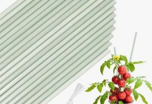 lot 1198365 image: Plant Stakes, Plant Support Stakes for Indoor and Outdoor Plants,20Pcs Plant Sticks Suit for Gardening Floral Potted Tomatoes,Vegetables Beans Orchid Climbing Plants -18 inches - Retail $10