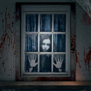 lot 1198548 image: Fun Little Toys Halloween Female Ghost Curtain 47 L x 31 W  Design Scary Skeleton Door Cover  Window and Wall Cover Indoor Outdoor Decoration Party Decors - Retail $12