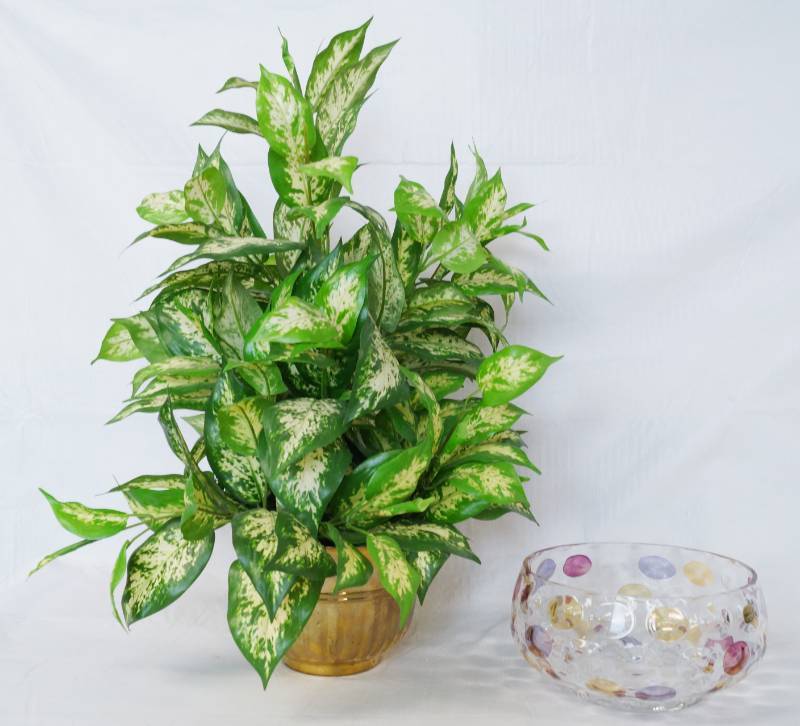 lot 3440 image: Very Nice, Clean Faux Plant in a Metal Pot & a Very Pretty Glass Bowl - see pics