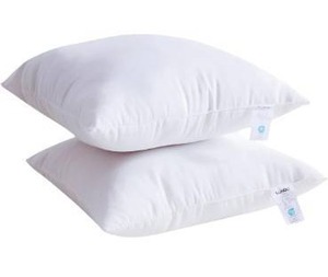 lot 5174 image: Throw Pillow, Square Decorative Pillow Forms Soft Fluffy Plump Pillow Decorative Pillow Inserts -Couch Pillows (2 Pcs, 18x18in)