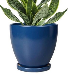 lot 5249 image: 6.8 Inch Plant Pot - Ceramic Planter with Drainage Hole and Saucer, Modern Round Flower Pot, Planters for Indoor Plants, Home Garden Decor, Blue