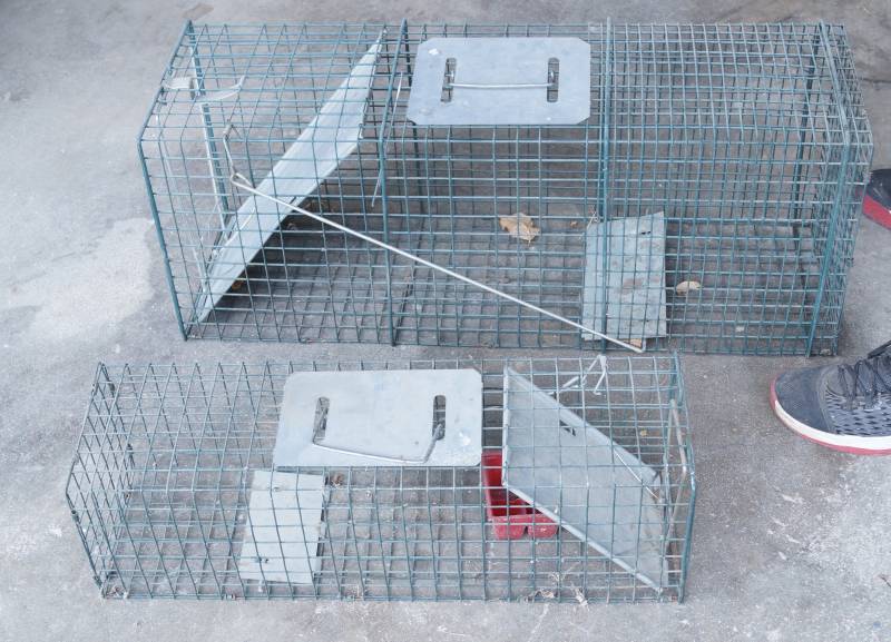 lot 2503 image: 2 Live Traps