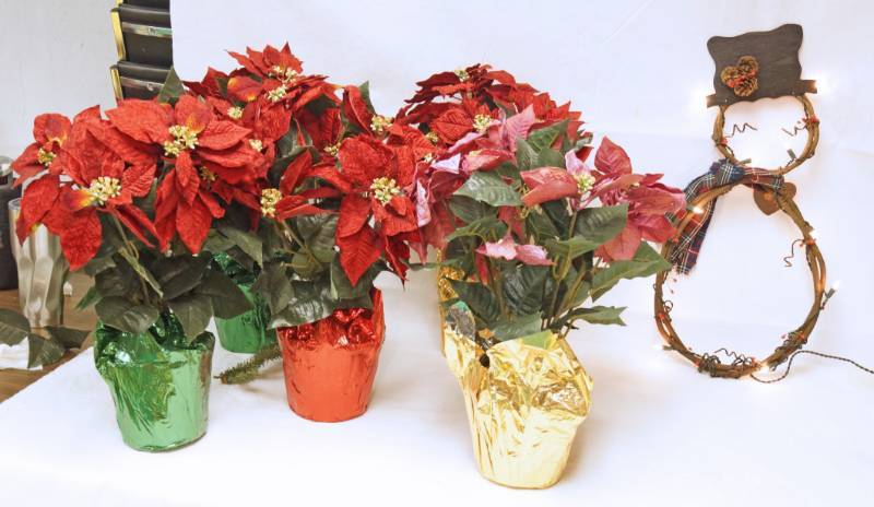 lot 2625 image: Christmas Lot of NICE Poinsettia Plants and a Cute Prim Style Snowman with Lights