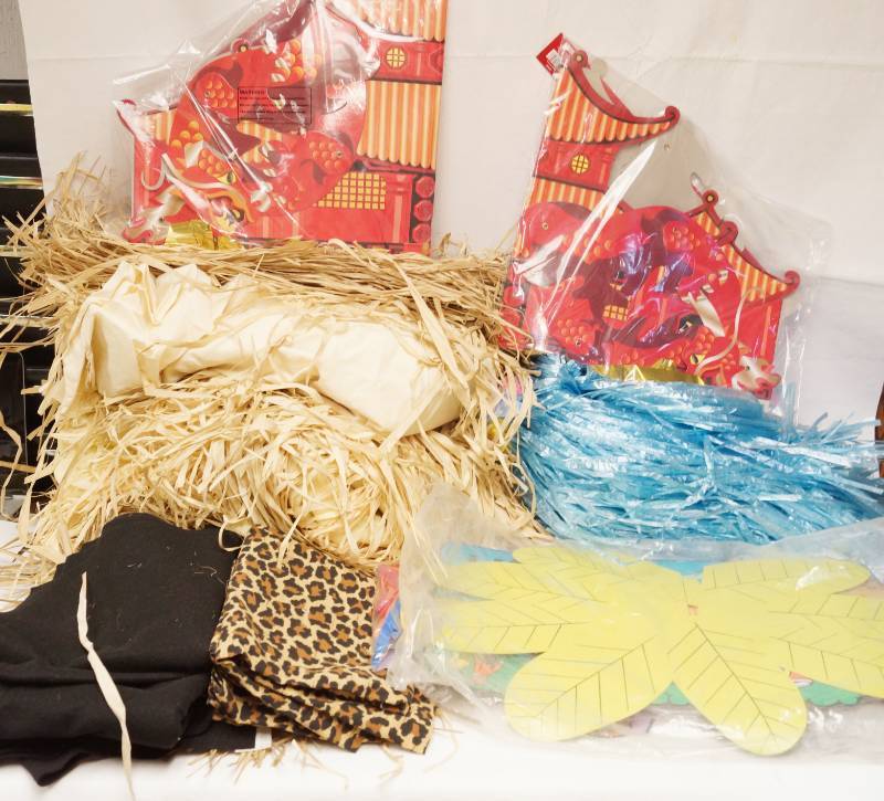lot 2660 image: Hawaiian Party Supplies - Grass Skirt Table Covers, Palm Tree Decorations and more See photos