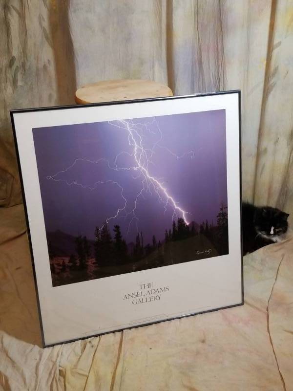 lot 8102 image: 28x30 Kennan Ward at The Ansel Adams Gallery Lightning Photo Quality Metal Frame