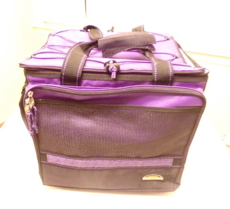 lot 9587 image: California Innovations Lunch Cooler