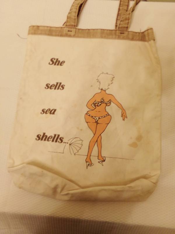lot 9593 image: Canvas Beach Bag