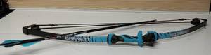 lot 45708 image: (UNUSED) Barnett Wildhawk SS Youth Compound Bow and 2 arrows  - Retail $149