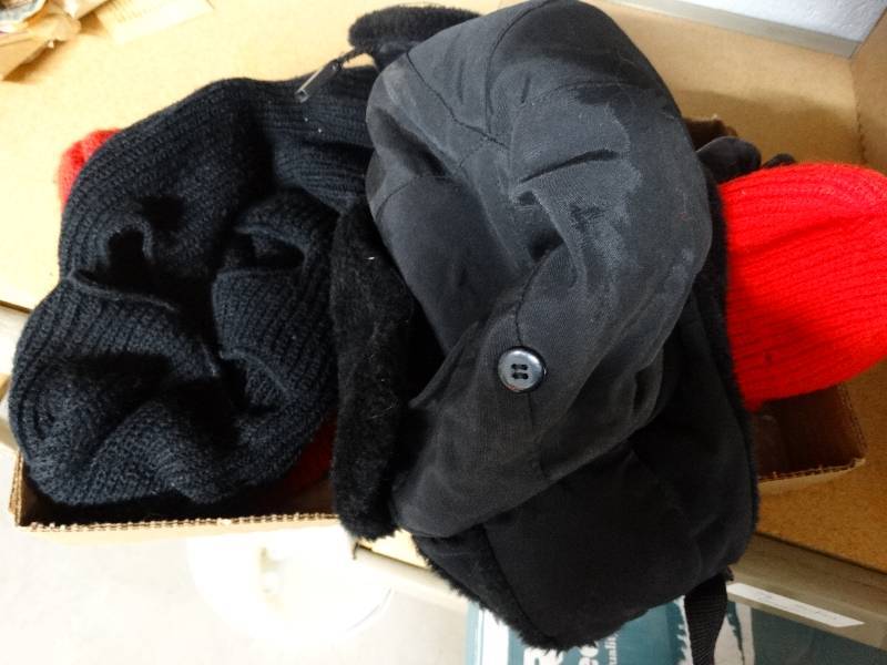 lot 13456 image: Lot of 3 beanies.
