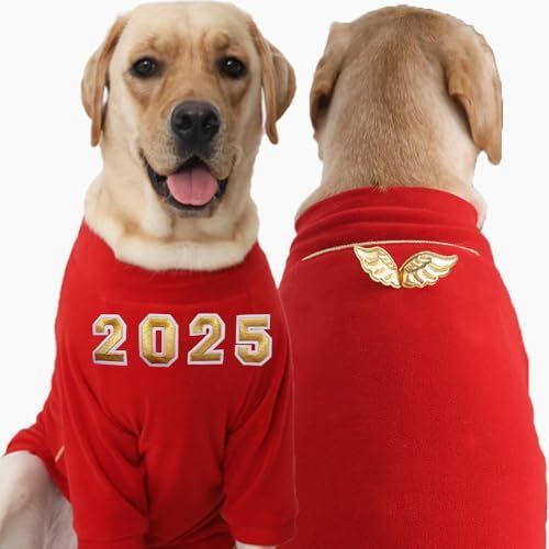 lot 852084 image: Dog Holiday Sweater Medium Size Dog New Year Sweater, Custom New Years Number, Funny Gold Wings on the Back, Humane High Neck Double Warm & Long Sleeves for Knees Protect,Limited edition of 50 pieces - Retail $16